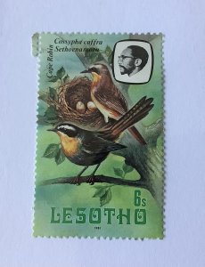 Lesotho  1981 Scott  325 used - 6s,  birds, Cape robins
