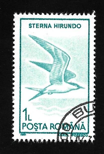 Romania 1991 - FDC - Scott #3640