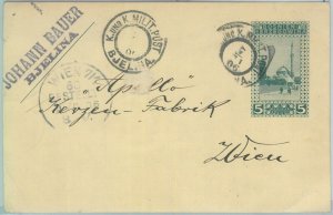 81871 - BOSNIA - POSTAL HISTORY - STATIONERY CARD from Bjelina CROATIA 1906-