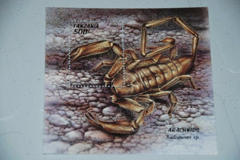 Scorpion - predatory Arachnids - MNH Souvenir Sheet u26