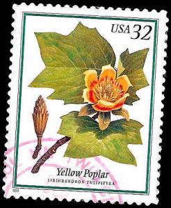 # 3195 USED YELLOW POPLAR