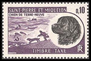 St. Pierre & Miquelon J79 Mint  VF NH