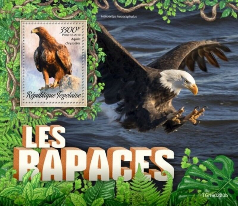 Togo - 2019 Birds of Prey on Stamps - Stamp Souvenir Sheet - TG190220b