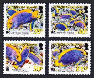 Ascension WWF Resplendent Angelfish 4v 2007 MNH SC#904-907 SG#962-965 MI#989-992