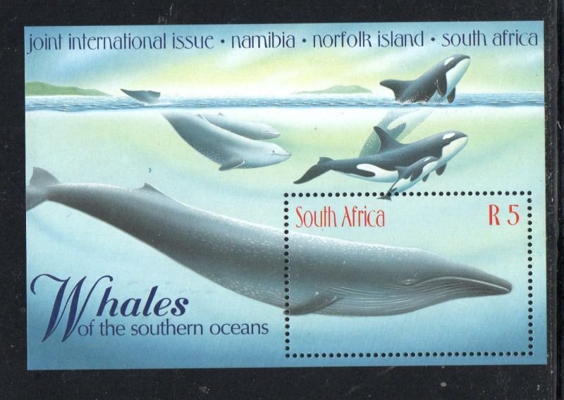 South Africa Sc 1095 1998  Whales stamp sheet mint NH