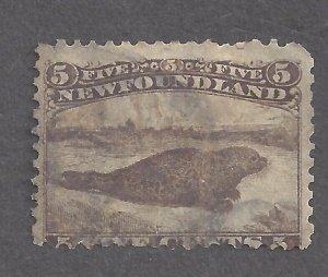 CANADA NEWFOUNDLAND #25 USED BROWN HARP SEAL BS25499