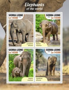 Sierra Leone - 2020 Elephants of the World - 4 Stamp Sheet - SRL200525a