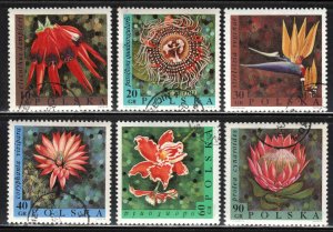 Poland #1577-82 ~ Set of 6 ~ Flowers ~ Ucto, HMR, MX (1968)