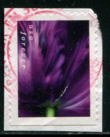 5784 US (63c) Tulip Blossoms - dark purple SA bklt, used on paper