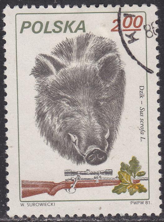 Poland 2451 Boar 2.00zł 1981