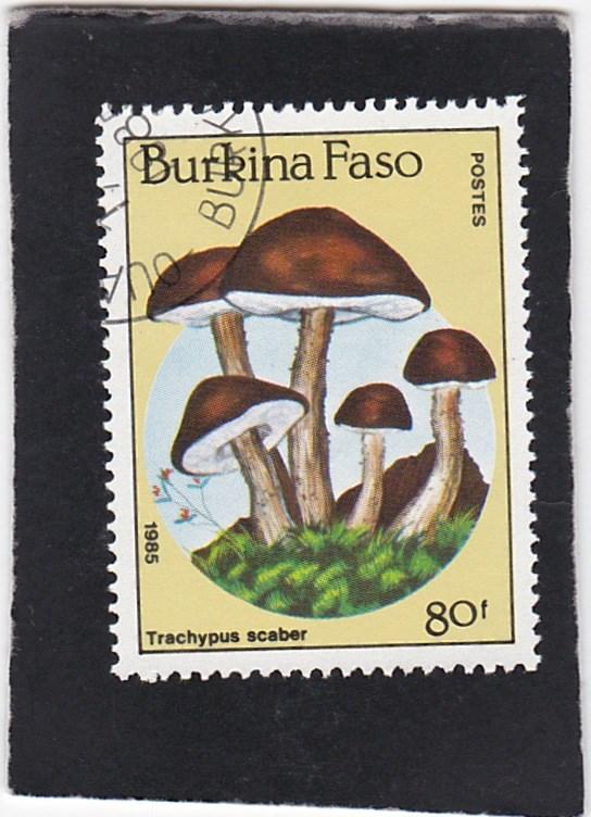 Burkina Faso #747 used