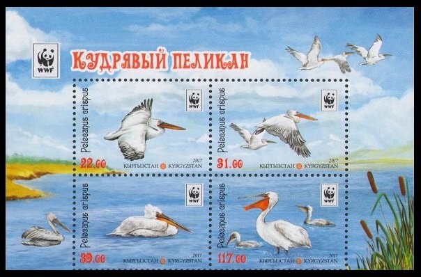 2017    Kyrgyzstan     883-886VB     WWF. Pelicans