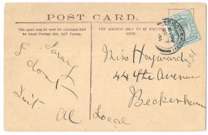 Beckenham, England 1904 local use postcard 'Playmates,' Cats, maile...