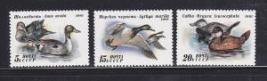 Russia 6009-6011 Set MNH Birds, Ducks