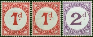 Basutoland 1933-38 Postage Due Set of 3 SGD1-D2  Fine LMM