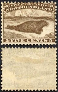 Newfoundland SG26 5c Brown Thin yellowish paper M/M Cat 600 pounds