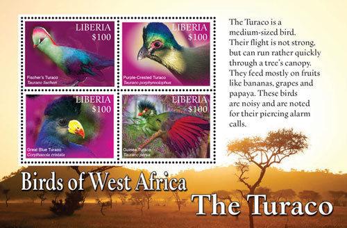 Liberia-2016 West Africa (Turaco) Birds on Stamps Sheet of 4 MNH