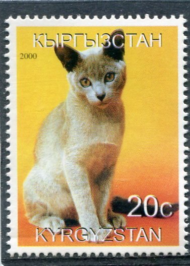 Kyrgyzstan 2000 DOMESTIC CAT 1 value Perforated Mint (NH)