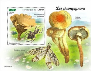 Chad - 2023 Mushrooms & Insects, Pig's Ears - Stamp Souvenir Sheet - TCH230101b