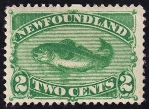 Newfoundland Scott 47 (1896) Mint HR F, CV $120.00 C