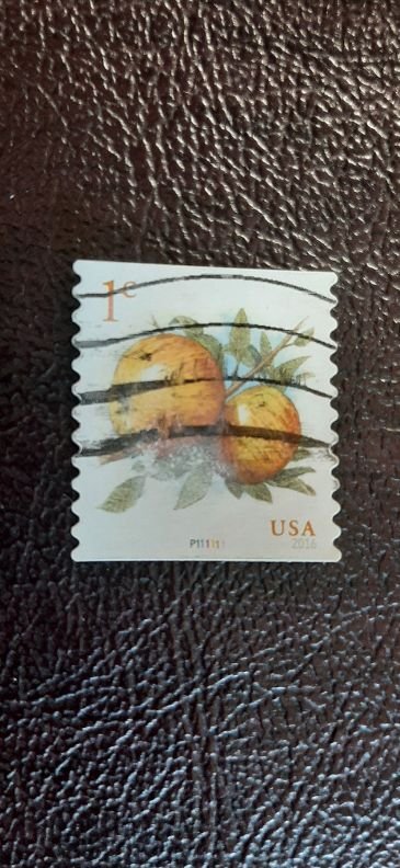 US Scott # 5037; used 1c Apples coil from 2016; PNC # 111111; VF center; off pap