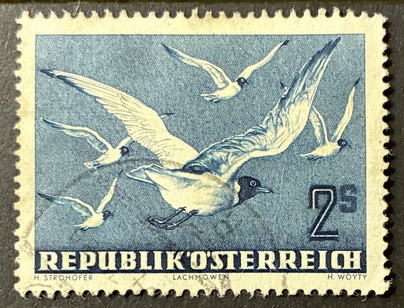 Austria 1950 #C56, Black headed Gulls, Used.