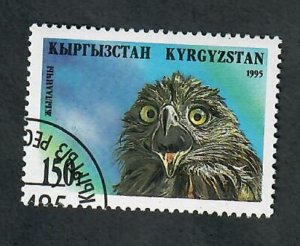 Kyrgyzstan #57 Raptor used single