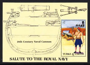 Turks and Caicos 670 Navy Souvenir Sheet MNH VF