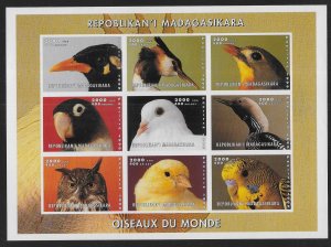 Malagasy Madagascar 1999 Unauthorized Parrots Mini-Sheet  MNH