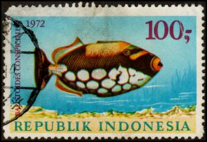 Indonesia 836 - Used - 100r Clown Triggerfish (1972) (cv $6.10)
