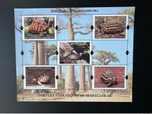 Madagascar 2023 Mi. Bl. ? Block S/S Endemic Turtles Wildlife Reptiles-