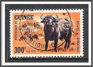 Guinea #345 Black Buffaloes CTO NH