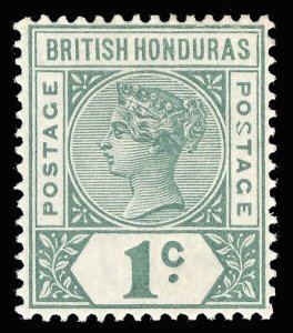 B. Honduras 1891 QV 1c dull green MLH MALFORMED S IN POSTAGE variety. SG 51a