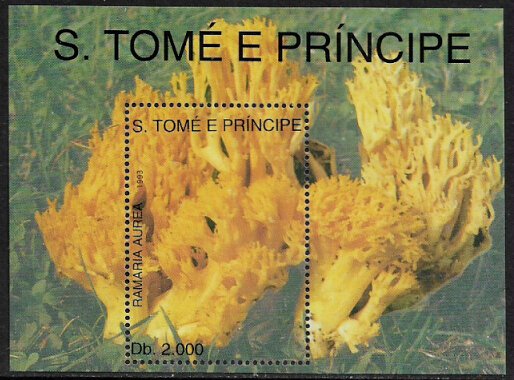 St Thomas & Prince Is #1131 MNH S/Sheet - Mushrooms