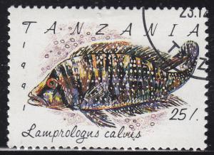 Tanzania 818 Lamprologus Calvus 1992