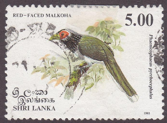 Sri Lanka 1081 Red Faced Malkoha 1993
