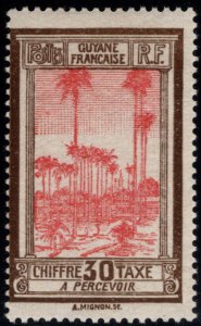 French Guiana Scott J16 MH* postage due stamp