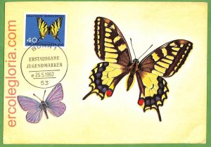 32386 - Germany - MAXIMUM CARD - 25.5.1962 - butterflies-