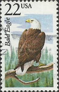 # 2309 USED BALD EAGLE