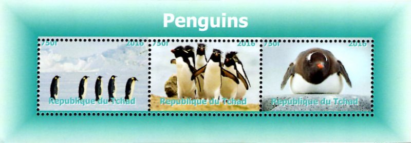 Chad 2016 Penguin Birds 3v Mint Souvenir Sheet S/S. (#79)