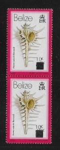 Belize 422 Shell Surcharge pair MNH 2022 Scott c.v. $15 (*TC*)