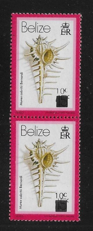 Belize 422 Shell Surcharge pair MNH 2022 Scott c.v. $15 (*TC*)