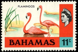 BAHAMAS Sc 322 VF/MNH- 1971 11¢ Flamingos