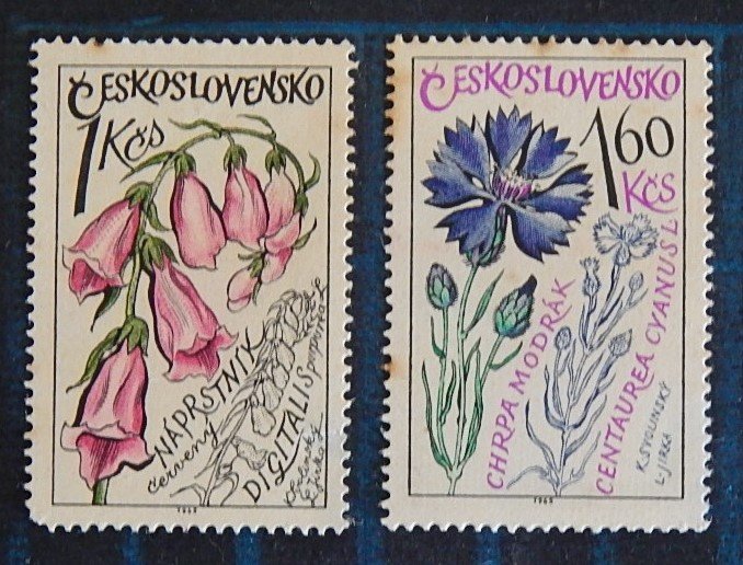 Flowers, Czechoslovakia, (2594-Т)