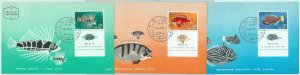 68680 - ISRAEL - Postal History - Set of 3 MAXIMUM CARDS 1963 - FISH