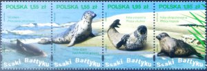 Fauna. 2009 seal.