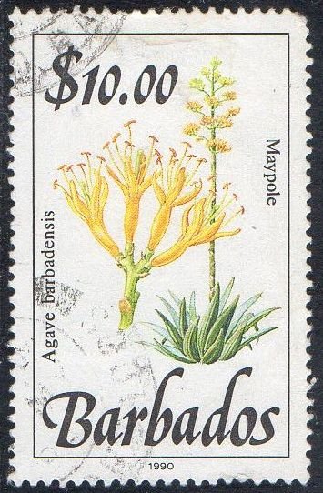 Barbados 1990 $10 Maypole (Wild plants) used