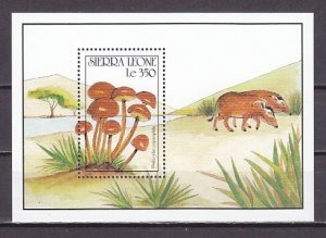 Sierra Leone, Scott cat. 1332. Mushrooms s/sheet. ^