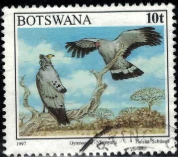 Bird, African Harrier Hawk, Gymnogene, Botswana stamp SC#621 Used