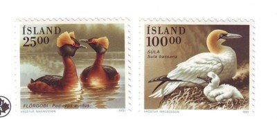 Iceland Sc721-722 1991 Bird stamp set mint NH